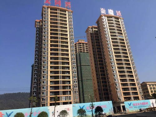 百聞不如一鑒丨太同興金鷹城實景現房,返鄉置業首選