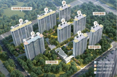 2023年南京取消限購(gòu)，金鷹置業(yè)投資價(jià)值如何？